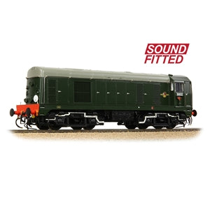 Class 20/0 Disc Headcode & Tablet Catcher D8102 BR Green (Roundel)