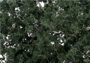 Fine Leaf Foliage - Dark Green