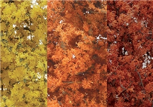 Fine Leaf Foliage Autumn Mix