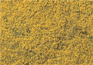 Flowering Foliage - Yellow