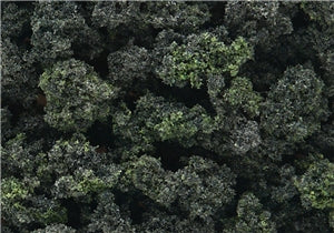 Bushes - Forest Blend