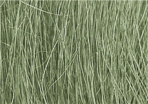 Field Grass - Medium Green