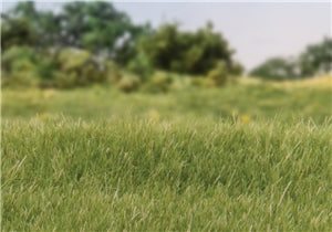 Static Grass 4mm - Medium Green