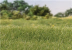 Static Grass 4mm - Medium Green