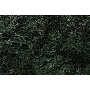 Lichen - Dark Green