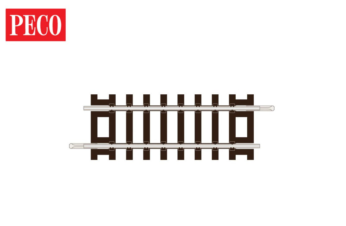 TT:120 C55 Setrack Short Straight (4)