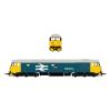 Accurascale - ACC2215 - Class 50 Large Logo grey roof  50 021 Rodney