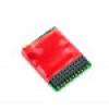 Gaugemaster - DCC95 - Ruby 6fn Pro DCC Decoder 21 pin