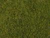 Noch - N07291 - Meadow Green Foliage
