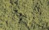 F52 - Foliage - Medium Green