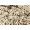 Woodland Scenics - L166 - Lichen - Natural